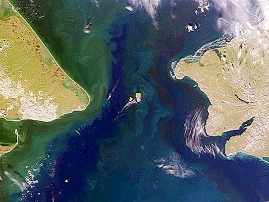 Beringa šaurums: koridors uz jauno pasauli