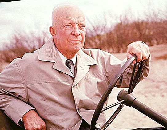 Dwight Eisenhower: Sisä- ja ulkopolitiikka