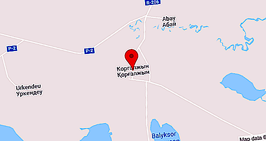 Cagar Alam Korgalzhyn: deskripsi, lokasi, flora dan fauna