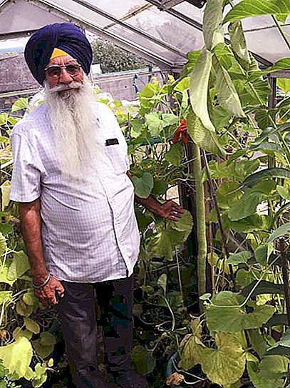 Dünyadaki en büyük salatalık ve onu yetiştiren sebze yetiştiricisi
