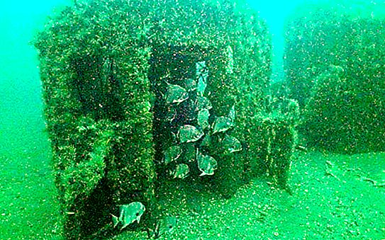 Изкуствен коралов риф от 2500 извадени вагона, създадени в Атлантическия океан