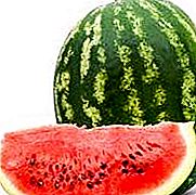 Watermeloen - een bes die bij iedereen geliefd is