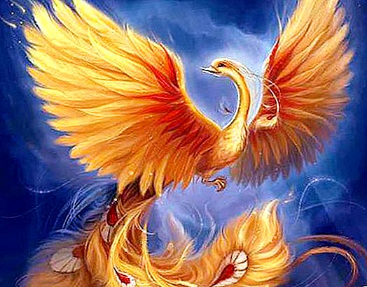 Phoenix è un uccello che simboleggia il rinnovamento eterno e l'immortalità
