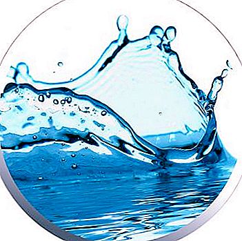 Waar en hoe water uit een put analyseren? Chemische, bacteriologische analyse van bronwater: prijs