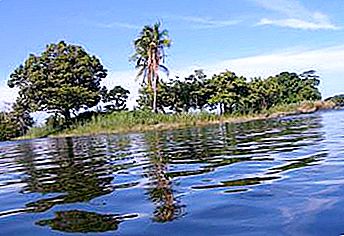 Nikaragvsko jezero: opis rezervoarja. Nikaragvsko jezero in njegovi grozni prebivalci