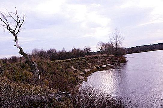 Sožo upė yra viena gražiausių upių Baltarusijoje