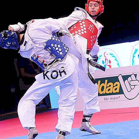 Jogador russo de Taekwondo Denisenko Alexey Alekseevich: biografia, realizações e fatos interessantes