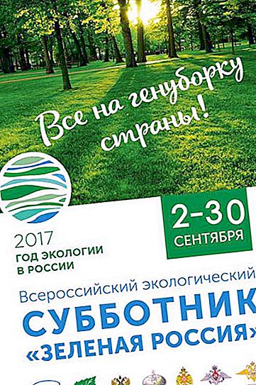 Subbotnik Green Russia: projekta apraksts, organizatori, rezultāti