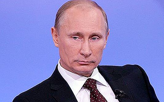 Въпросът, който интересува всички: "Колко печели Путин?"