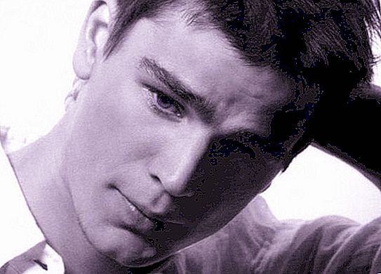 Josh Hartnett: filmography, the main roles. The personal life of the actor
