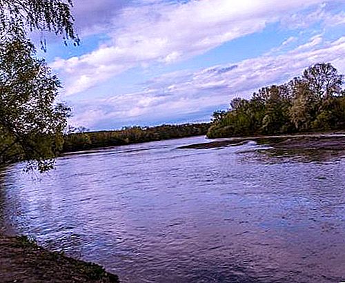 Anak sungai utama dari Sungai Kuban: deskripsi, nama dan alam