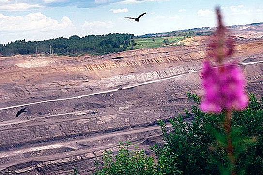 אגן פחם קוזנטסק: עלויות ייצור ועתודות