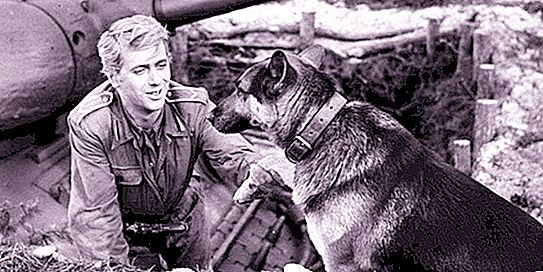 श्रृंखला "चार टैंकर और एक कुत्ता" से पसंदीदा जनक। अभिनेता जानूस गॉस आज कैसा दिखते हैं