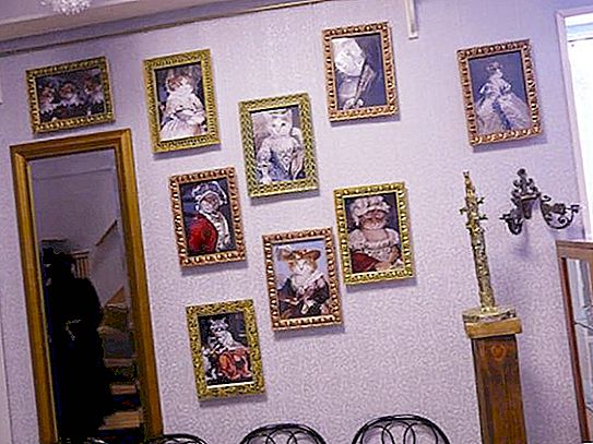 Muzej mačaka u Moskvi: izložbe, aktivnosti i inicijativa