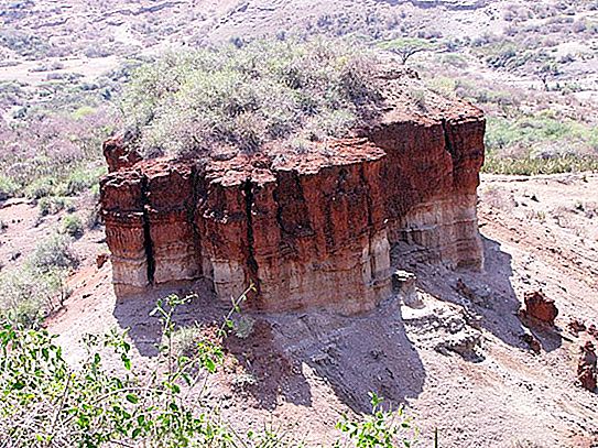Olduvai πολιτισμός πρώιμης πέτρινης εποχής