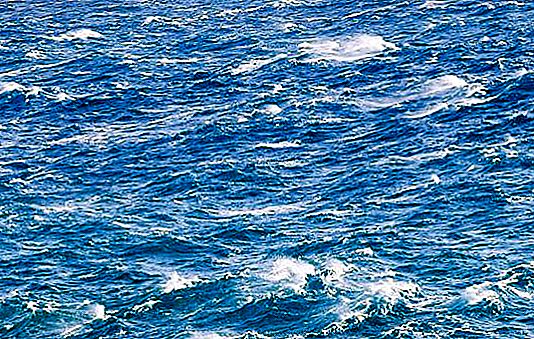 Corrent de l'Atlàntic Nord: les seves característiques i l'impacte sobre el clima