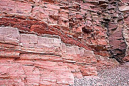 Batuan clastic terrigenous: deskripsi, jenis dan klasifikasi