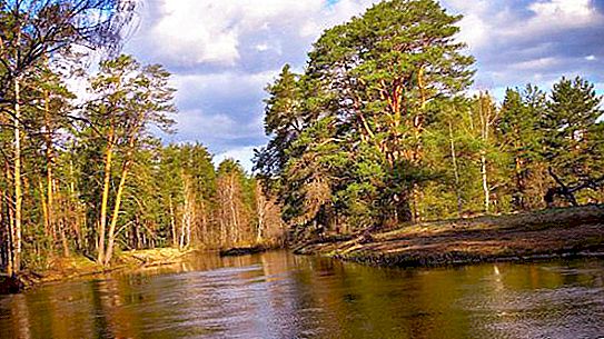 Rzeka Nerskaya w regionie moskiewskim: opis, cechy, zdjęcia