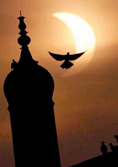 Sufismul - ce este? Mișcarea mistic-ascetică în Islam. Direcția filosofiei musulmane clasice