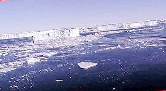 Une température anormalement élevée a été enregistrée en Antarctique: sa valeur était de 18,3 degrés