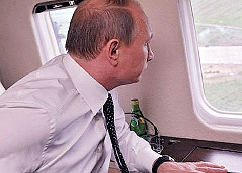 Tablero número 1 Putin: modelo, foto. Acompañamiento del avión presidencial.