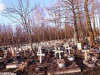圣彼得堡Kinoveevskoe公墓：行政机关的获取方法，地址和电话