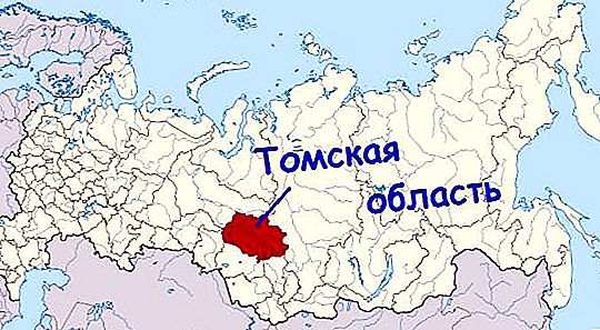El área de la región de Tomsk: historia, números, hechos interesantes
