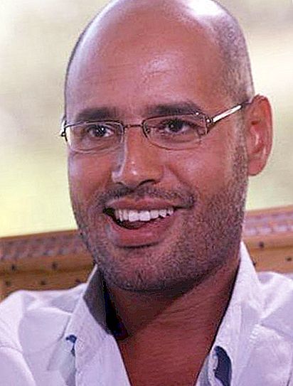 Saif al-Islam Kadhafi: biographie et faits