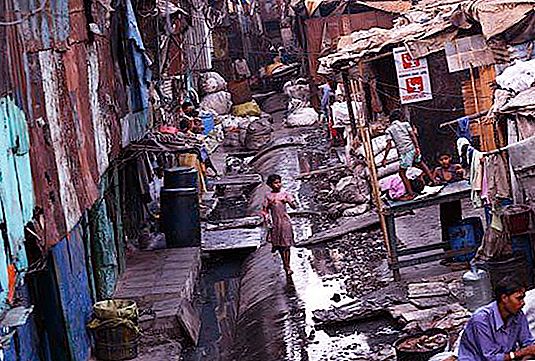 Slumsy Bombaju: historia, opis i ciekawe fakty