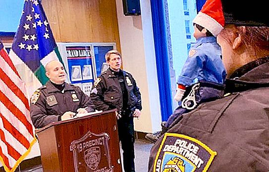 Er is een nieuwe officier bij de politie van New York verschenen - de elf, de gezant van de kerstman en houdt de orde. Politieagenten deelden de avonturen van de elf op sociale ne