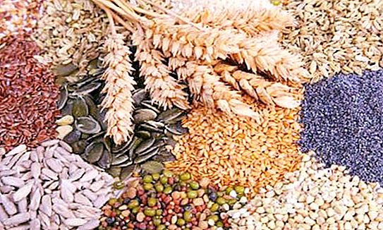 Brüt hasat Tanımı, ürünleri ve özellikleri