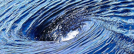 Whirlpool on the river: beskrivelse, årsaker, funksjoner og interessante fakta