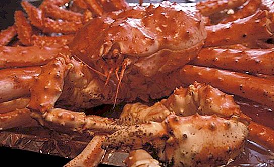 Crabe royal: description, reproduction, prix