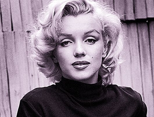 Anerkendte og undervurderede look-alikes af Marilyn Monroe