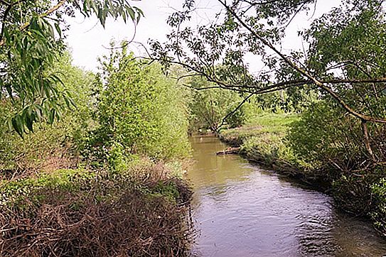 נהר Bitsa: היכן הוא ממוקם, מקור, היקף, עומק, טבע ודיג