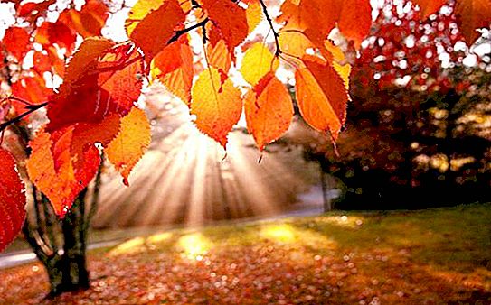 Autumn Solstice - Isang Sinaunang Holiday