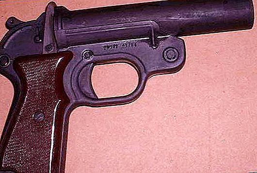 Πυροβόλο όπλο (όπλο). Λαβή σε σχήμα εκτοξευτή ρουκετών