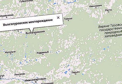 Vyngapurovskoye领域：它位于何处，其储备量是多少？