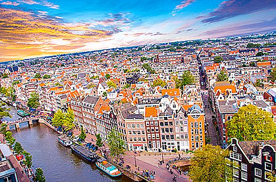 Aussehen der Niederländer: Beschreibung und Eigenschaften