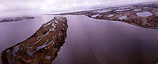 State Nature Reserve "Nenets": grondgebied, dieren en planten