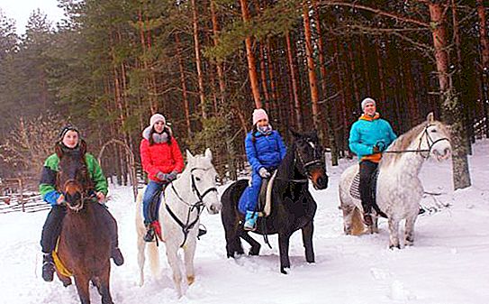 Jezdecký cestovní ruch: organizace a rozvoj v Rusku