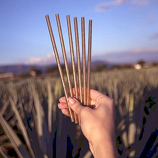 A Mexican company has developed an environmentally friendly biodegradable drinking straw from waste from tequila production
