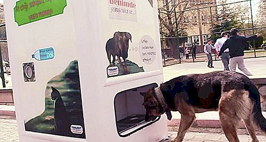 善意的双重行为：我交出一个塑料瓶，给一只流浪狗喂食。 在伊斯坦布尔，街道上安装了专用机器