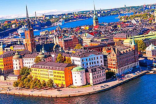 Φινλανδική οικονομία: τομεακή διάρθρωση