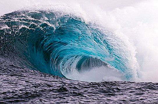 Pravidla chování tsunami: připomínka obyvatelstvu