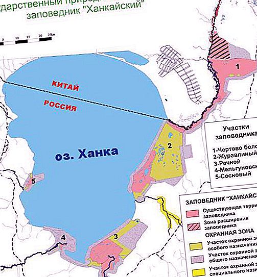 Ange naturliga biosfärreserv "Khankaisky", Primorsky Krai: beskrivning