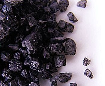 Garam hitam India: manfaat dan bahaya. Garam kuaterner hitam: manfaat dan bahaya