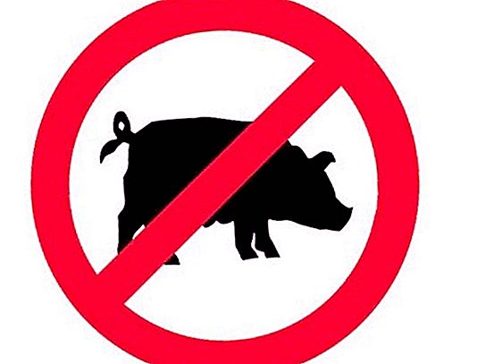لماذا لا يأكل المسلمون واليهود لحم الخنزير: السبب الحقيقي لا يكمن في الإيمان