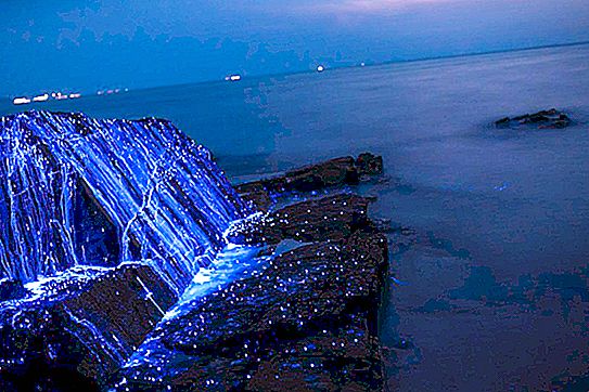 사진의 파란 돌은 포토샵이 아니라 자연의 실제 현상입니다. 일본의 빛나는 바위가 아름다움에 눈에 띄고 있습니다.