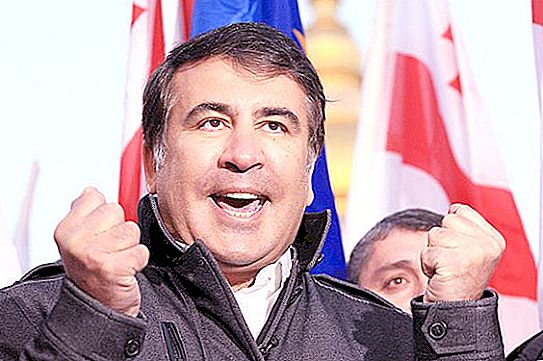 Biografie van Saakashvili. Belangrijke data en gebeurtenissen in zijn leven